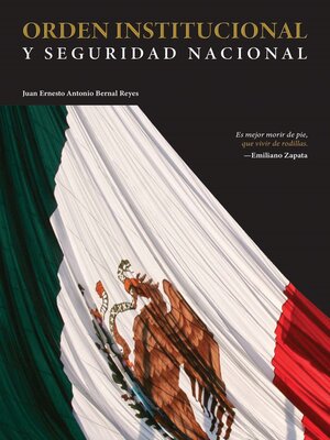 cover image of Orden institucional y seguridad nacional
